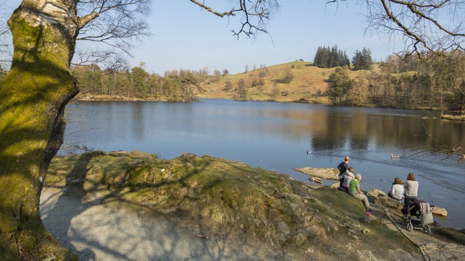 A group of people sit beside a tree-lined tarn in spring